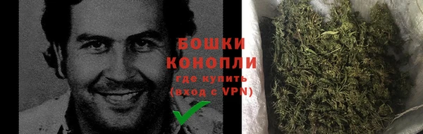 индика Гусиноозёрск