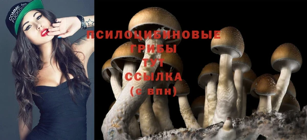 экстази Горняк