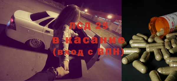 индика Гусиноозёрск