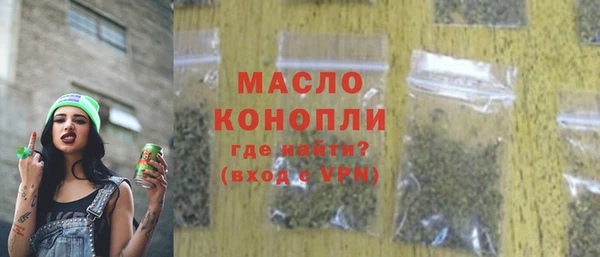 индика Гусиноозёрск