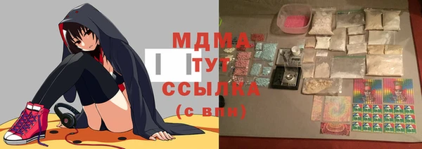 индика Гусиноозёрск