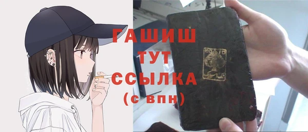 индика Гусиноозёрск