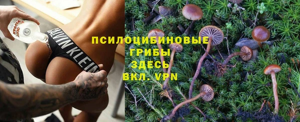меф Ельня
